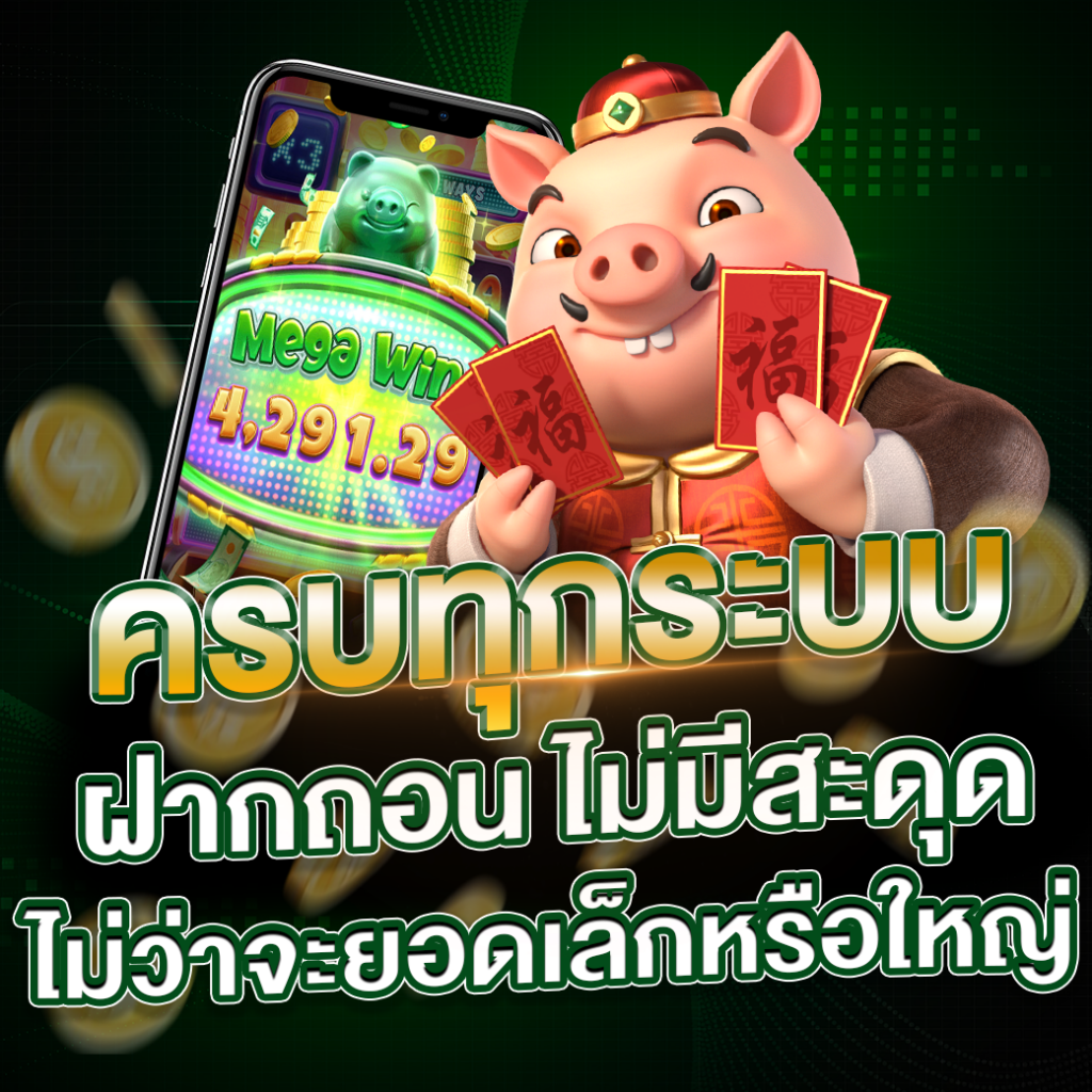 ครบทุกระบบ