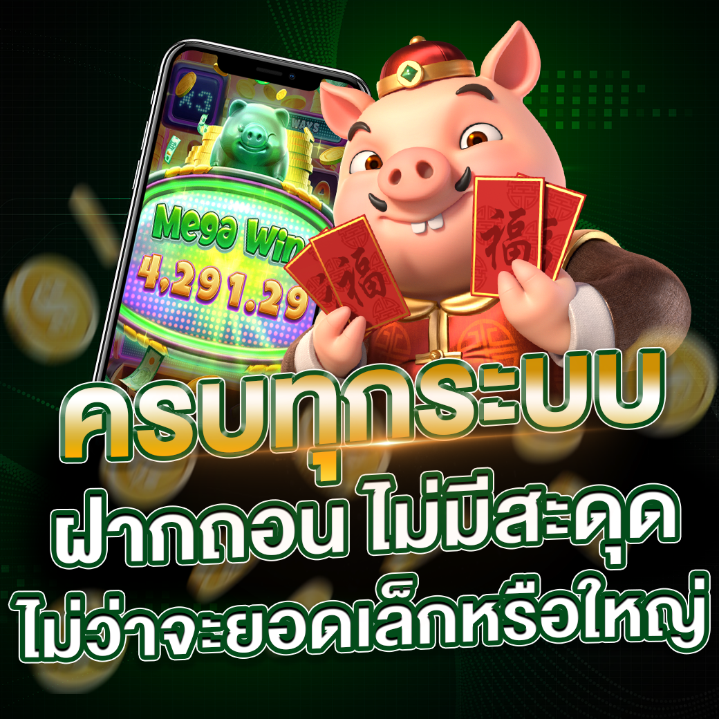 ครบทุกระบบ